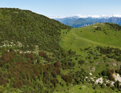 Val del Parol (foto di F. Bertolli) Val del Parol (foto di F. Bertolli)