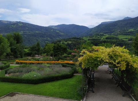 Orto dei semplici e giardino botanico del Monte Baldo