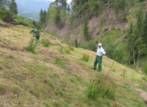 Progetto collettivo a finalità ambientale, prati ricchi di specie