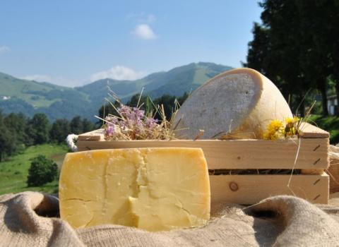 SVILUPPO SOSTENIBILE: L'IMPORTANZA DEI PRODOTTI A KM0 E GLI ADEMPIMENTI NORMATIVI SVILUPPO SOSTENIBILE: L'IMPORTANZA DEI PRODOTTI A KM0 E GLI ADEMPIMENTI NORMATIVI