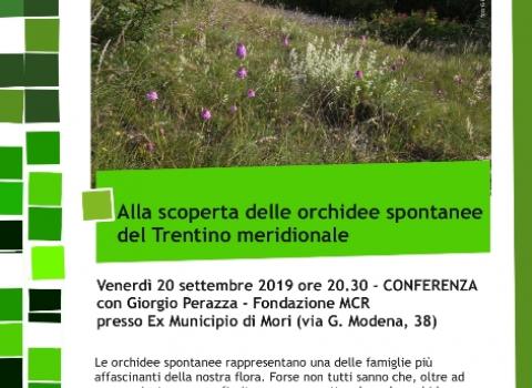 Alla scoperta delle orchidee spontanee del Trentino meridionale