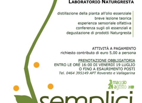 Distillazione dalla pianta all'olio essenziale