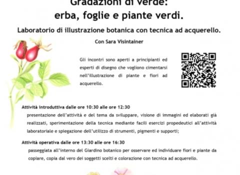 Gradazioni di verde: erba, foglie e piante verdi come spunto d’interesse per l’illustrazione