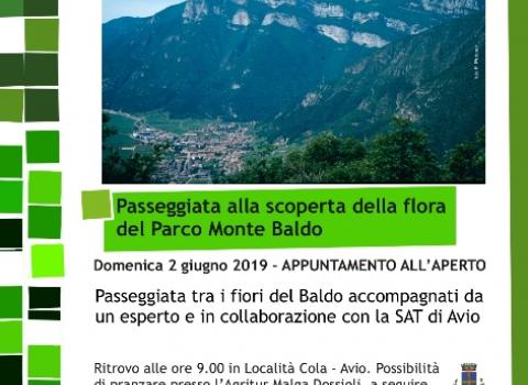 Passeggiata alla scoperta della flora del Parco Monte Baldo