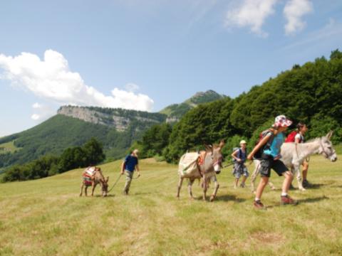 Trekking con gli asini  nel Parco Naturale Locale Monte Baldo 