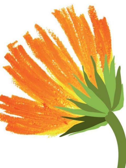 Distillazione dalla pianta all'olio essenziale Distillazione dalla pianta all'olio essenziale