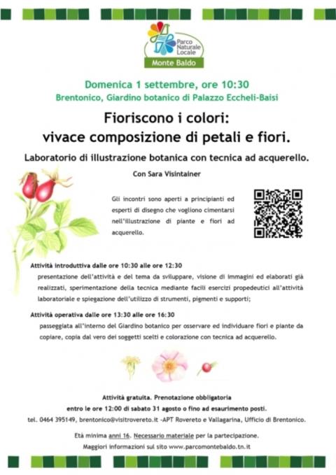 Fioriscono i colori: vivace composizione di petali e fiori Fioriscono i colori: vivace composizione di petali e fiori